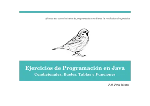 Curso de Programación en Java: Guía Completa de Ejercicios