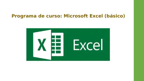 MS Excel Basico