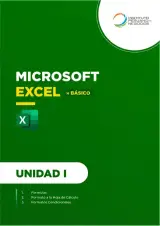 Portada de Manual de Microsoft Excel básico