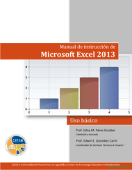 Curso Manual de instrucción de Microsoft Excel 2013: básico 1